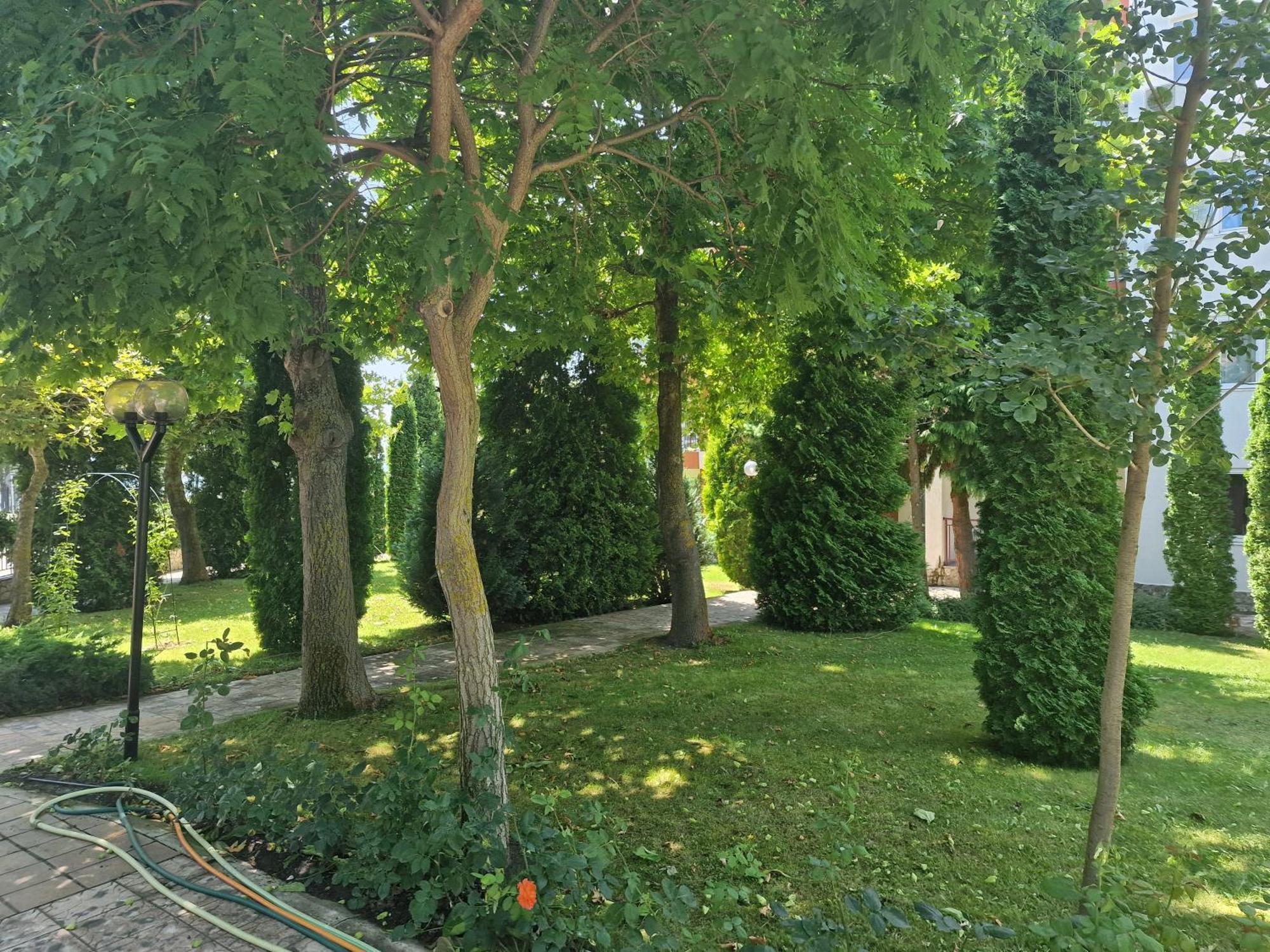 Sloneczny Brzeg Green Fort Noks Studio 外观 照片